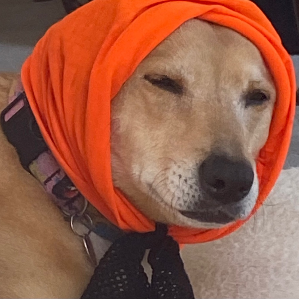 Meet your Posher, Grace